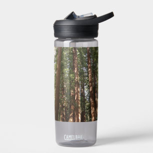 Up to Redwoods II at Muir Woods National Monument Water Bottle