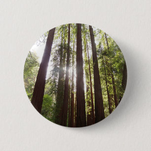 Up to Redwoods in the Morning 2 Inch Round Button