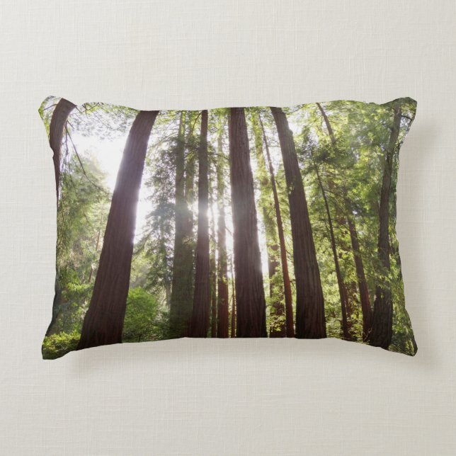 Up to Redwoods in the Morning Accent Pillow (Front)