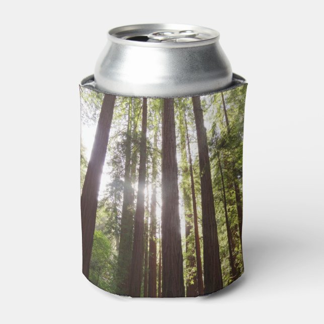Up to Redwoods in the Morning Can Cooler (Can Front)