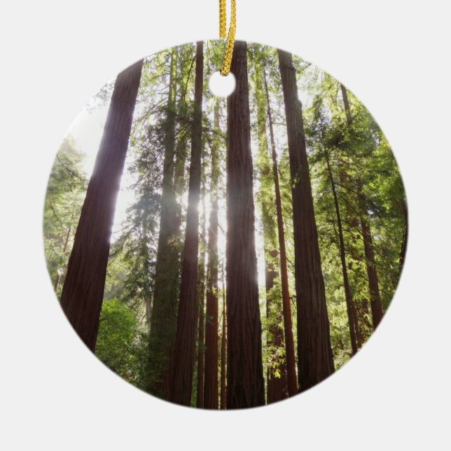 Up to Redwoods in the Morning Ceramic Ornament (Front)