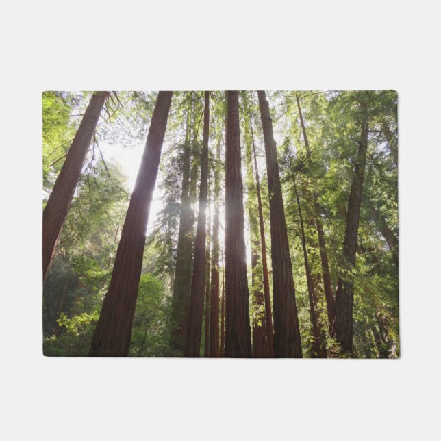 Up to Redwoods in the Morning Doormat (Front)