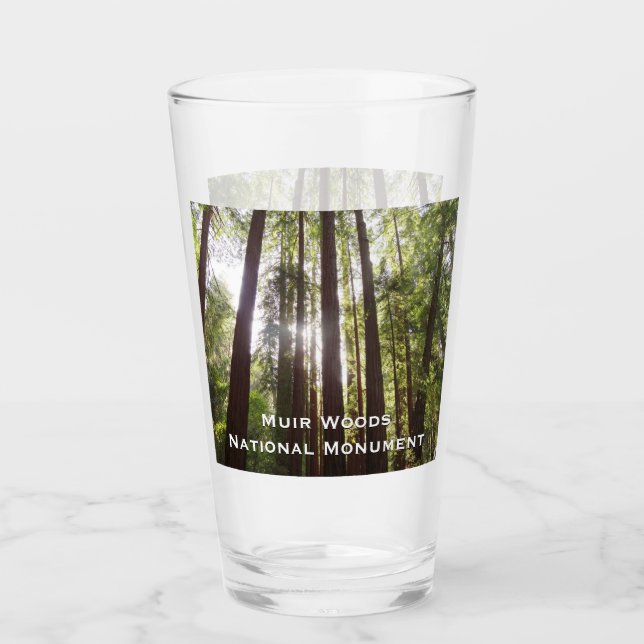 Up to Redwoods in the Morning Glass (Front)