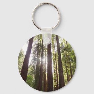 Up to Redwoods in the Morning Keychain