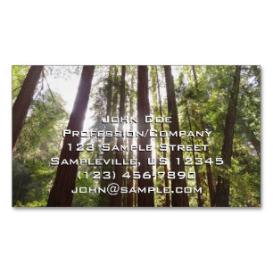 Up to Redwoods in the Morning Magnetic Business Card