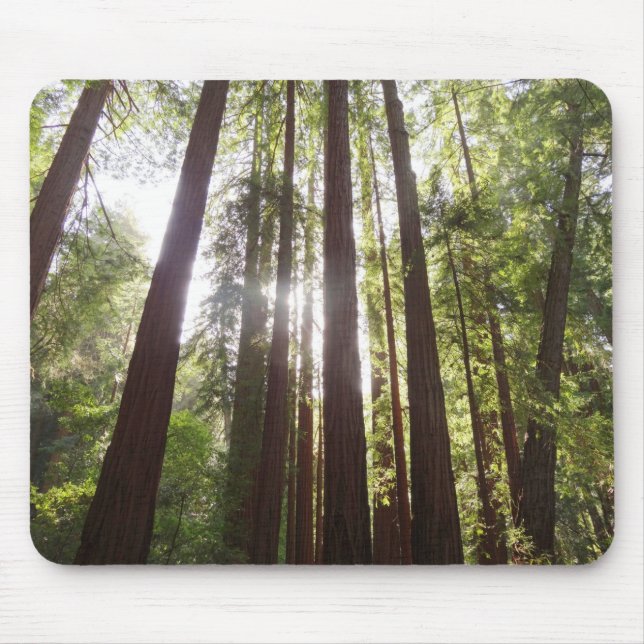 Up to Redwoods in the Morning Mouse Pad (Front)