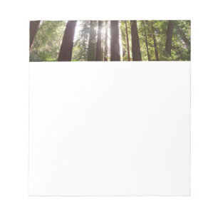 Up to Redwoods in the Morning Notepad