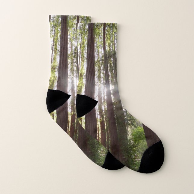 Up to Redwoods in the Morning Socks (Pair)