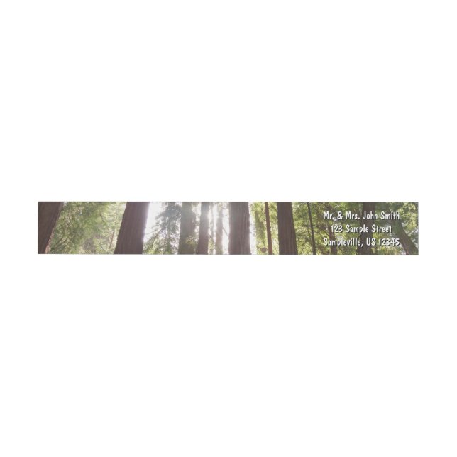 Up to Redwoods in the Morning Wrap Around Label (Individual)