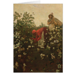 Upland Cotton