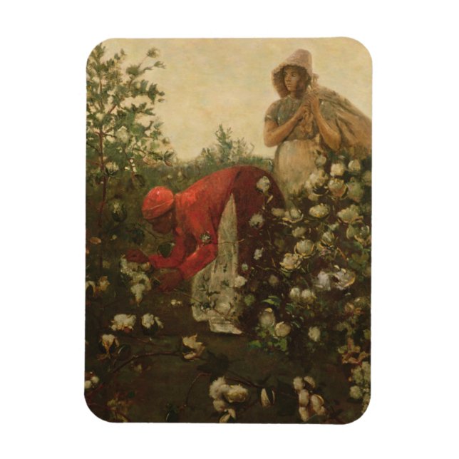 Upland Cotton Magnet (Vertical)