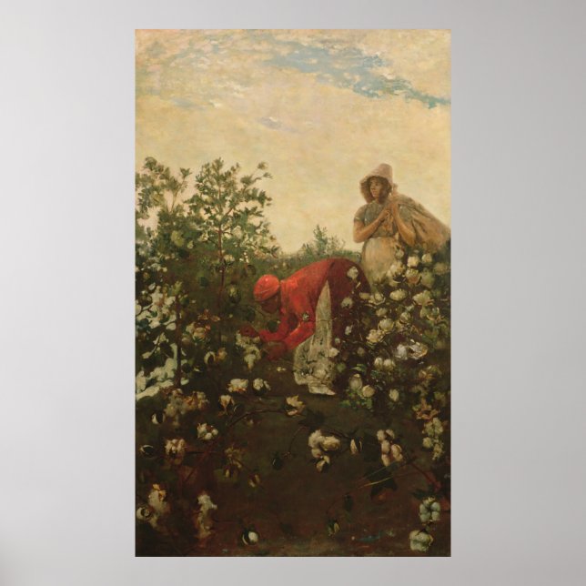 Upland Cotton Poster (Front)