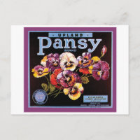 Upland Pansy VIntage Crate Label