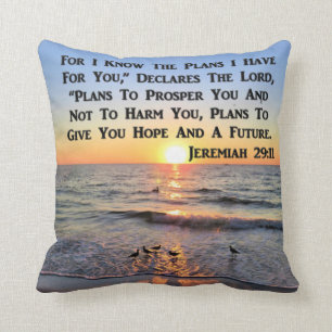 UPLIFTING JEREMIAH 29:11 SUNRISE THROW PILLOW
