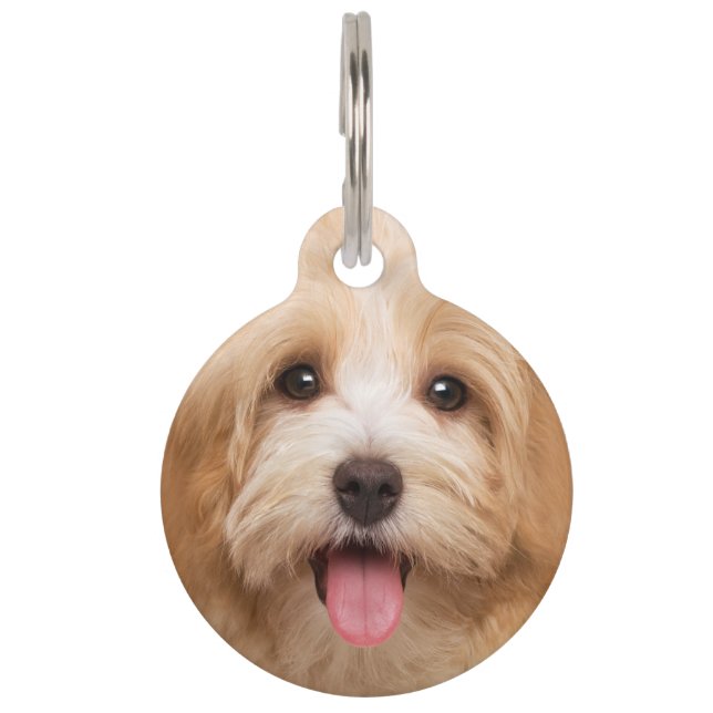 Upload photo animal pet tag (Front)