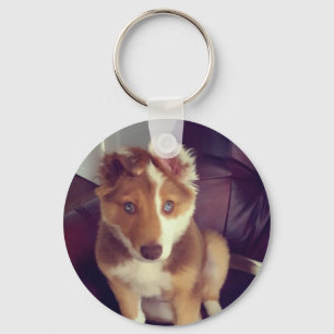 Upload your Custom pet photo Keychain