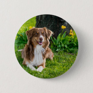 Upload Your Favourite Pet Photo 2 Inch Round Button