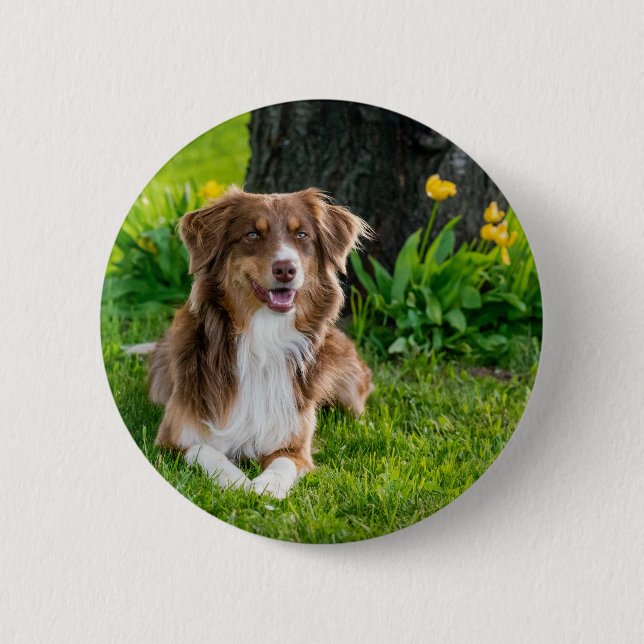 Upload Your Favourite Pet Photo 2 Inch Round Button (Front)