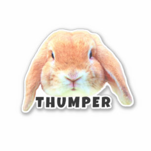 Upload Your Pet Bunny Face and Name Personalized