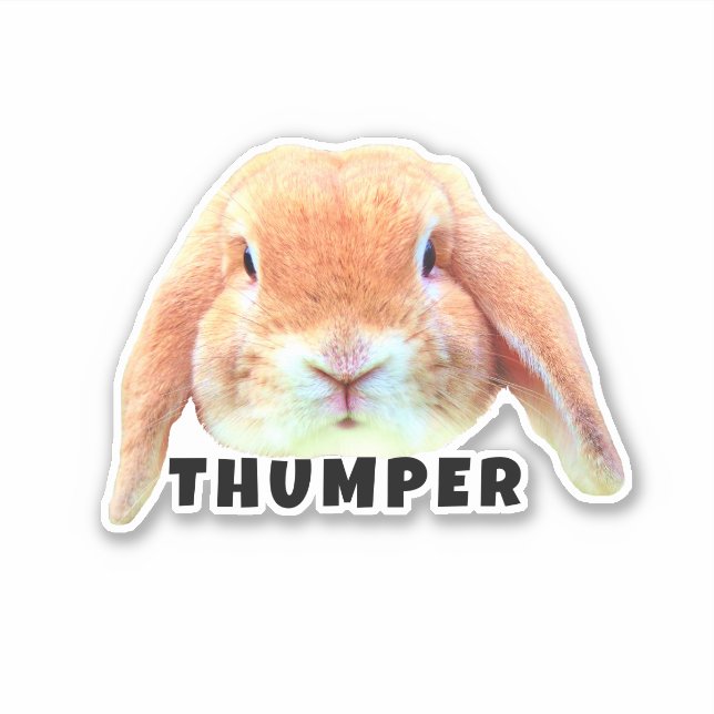 Upload Your Pet Bunny Face and Name Personalized (Front)