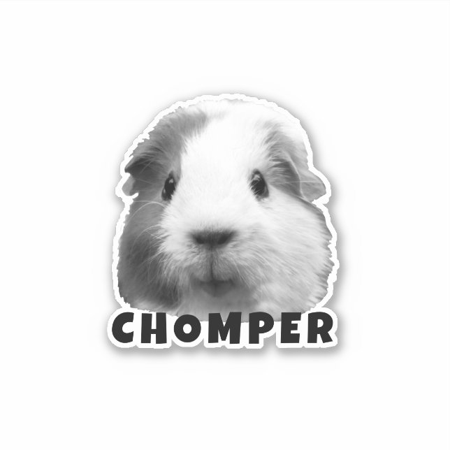 Upload Your Pet Guinea Photo & Name Personalized  (Front)