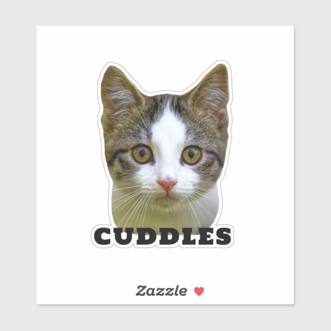 Upload Your Pet Photo & Name Personalized Sticker (Sheet)