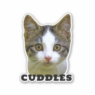 Upload Your Pet Photo & Name Personalized Sticker