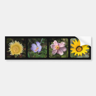 Upload your photo bumper sticker
