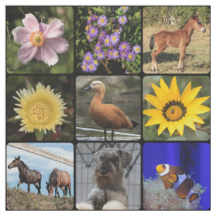 Upload your photo fabric