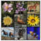 Upload your photo