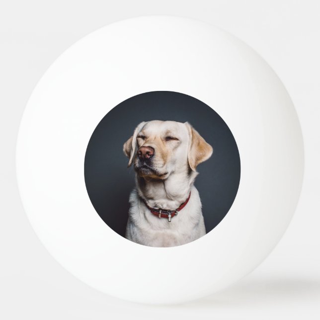 Upload your photo ping pong ball (Front)