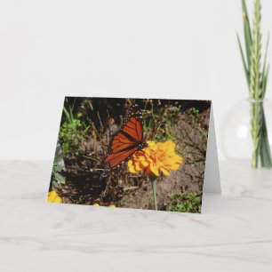 "Upon A Marigold" Get Well Card