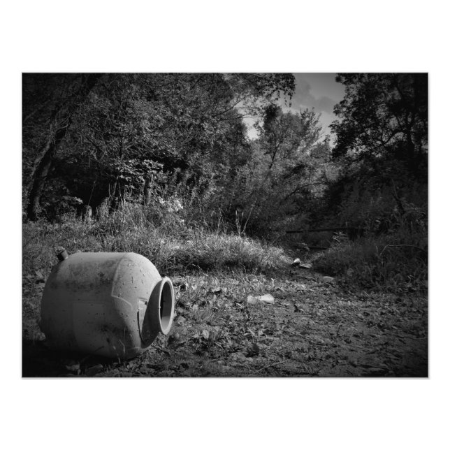 "Upon Discarded Land" Photo Print (Front)