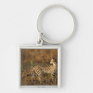 Upper Mara, Masai Mara Game Reserve, Kenya, Keychain