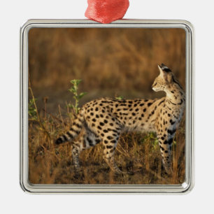 Upper Mara, Masai Mara Game Reserve, Kenya, Metal Ornament