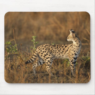Upper Mara, Masai Mara Game Reserve, Kenya, Mouse Pad