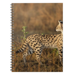 Upper Mara, Masai Mara Game Reserve, Kenya, Notebook