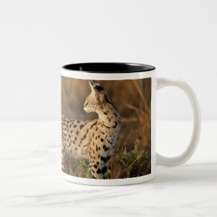 Upper Mara, Masai Mara Game Reserve, Kenya, Two-Tone Coffee Mug