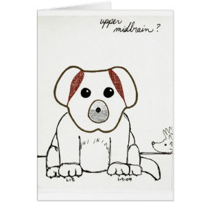 Upper Midbrain card