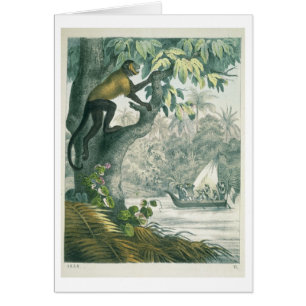 Upper reaches of the Amazon, from 'Das Buch der We