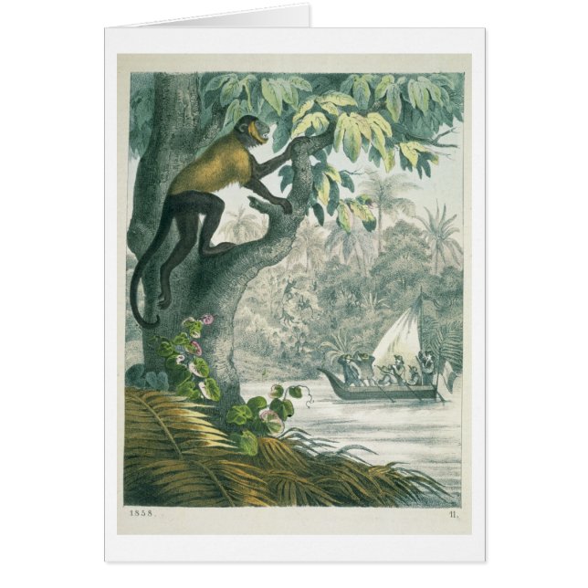 Upper reaches of the Amazon, from 'Das Buch der We (Front)