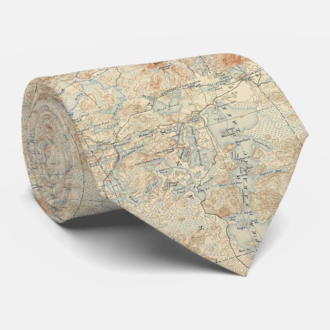 Upper Saranac Lake Detail from Old Topographic Map Tie (Rolled)