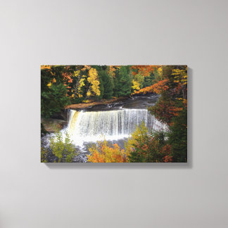 Upper Tahquamenon Falls canvas print