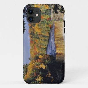 Upper Tahquamenon Falls in UP Michigan in autumn iPhone 11 Case