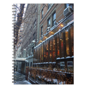 Upper West Side Icicles New York City Winter NYC Notebook