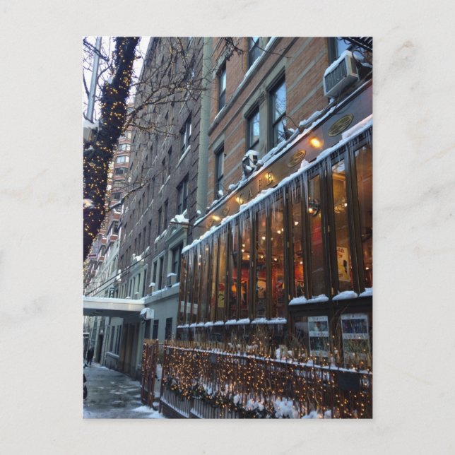 Upper West Side Icicles New York City Winter NYC Postcard (Front)