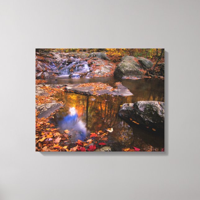 Upper Whiteoak Falls, Shenandoah National Park, VA Canvas Print (Front)