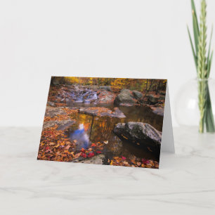 Upper Whiteoak Falls, Shenandoah National Park, VA Card