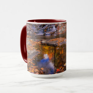 Upper Whiteoak Falls, Shenandoah National Park, VA Mug