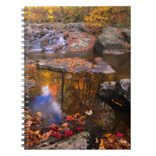Upper Whiteoak Falls, Shenandoah National Park, VA Notebook